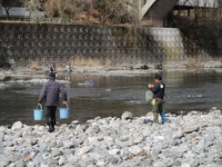 秩父フライフィールド 釣果