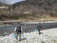 秩父フライフィールド 釣果
