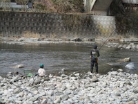 秩父フライフィールド 釣果
