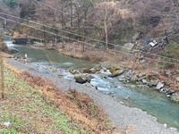 秩父フライフィールド 釣果