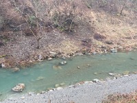 秩父フライフィールド 釣果