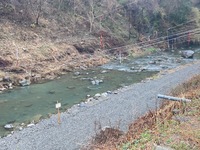 秩父フライフィールド 釣果