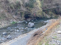 秩父フライフィールド 釣果