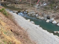 秩父フライフィールド 釣果