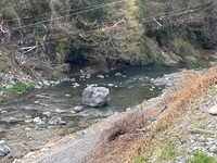 秩父フライフィールド 釣果