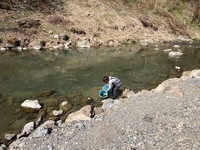 秩父フライフィールド 釣果