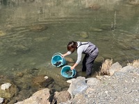 秩父フライフィールド 釣果
