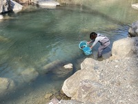 秩父フライフィールド 釣果