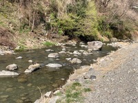 秩父フライフィールド 釣果