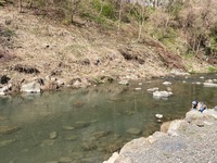 秩父フライフィールド 釣果