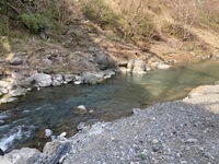 秩父フライフィールド 釣果