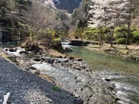 秩父フライフィールド 釣果