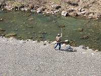 秩父フライフィールド 釣果