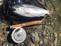 秩父フライフィールド 釣果