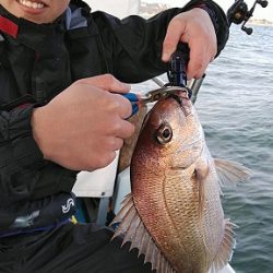 フィッシングガイド りょう 釣果