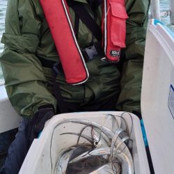 シースナイパー海龍 釣果