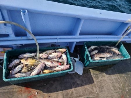 小樽港遊漁船ＳＨＡＫＥ 釣果