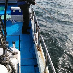 フィッシングガイド りょう 釣果