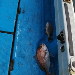 フィッシングガイド りょう 釣果