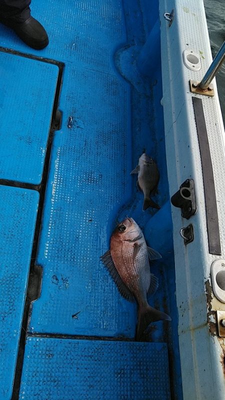 フィッシングガイド りょう 釣果