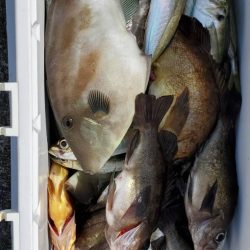 海龍丸（石川） 釣果