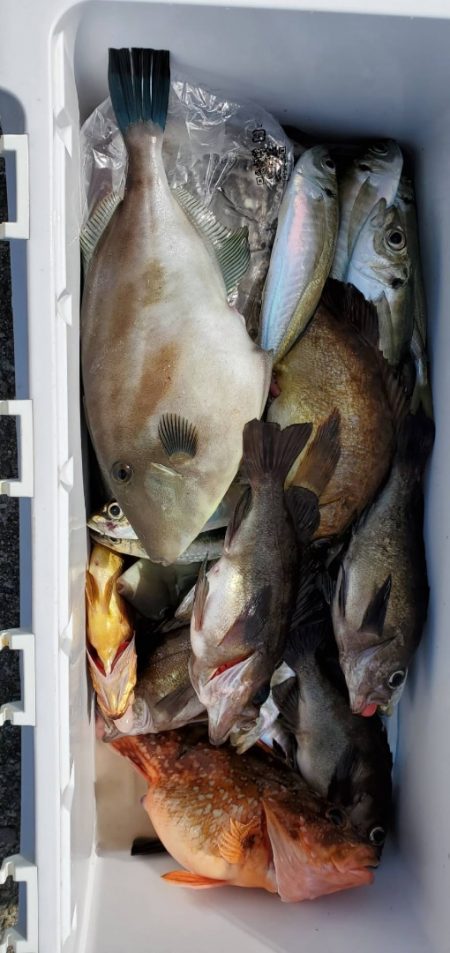 海龍丸（石川） 釣果