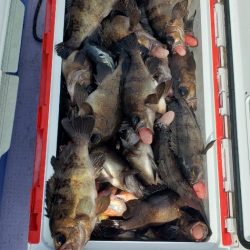 海龍丸（石川） 釣果