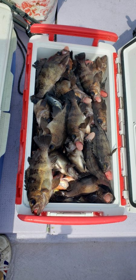 海龍丸（石川） 釣果