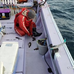 海龍丸（石川） 釣果