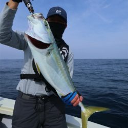 エル・クルーズ 釣果