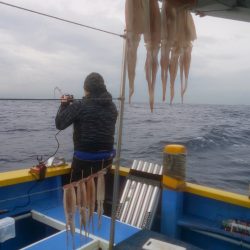 島きち丸 釣果