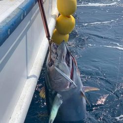 渡船屋たにぐち 釣果