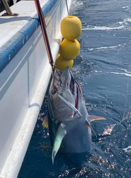 渡船屋たにぐち 釣果