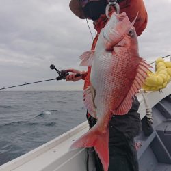 だて丸 釣果