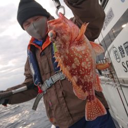 だて丸 釣果