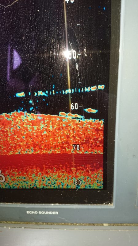 金沢八景鴨下丸 釣果
