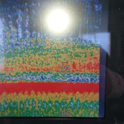 金沢八景鴨下丸 釣果