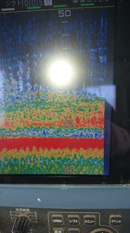 金沢八景鴨下丸 釣果