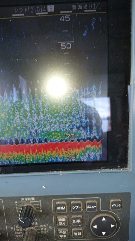 金沢八景鴨下丸 釣果