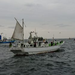 金沢八景鴨下丸 釣果