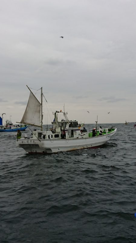 金沢八景鴨下丸 釣果