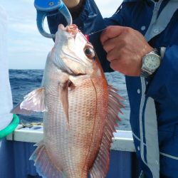 新幸丸 釣果
