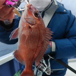 新幸丸 釣果