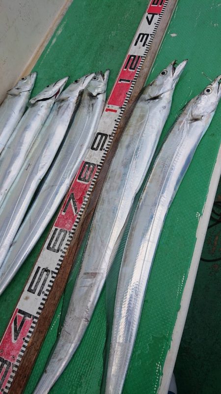 金沢八景鴨下丸 釣果