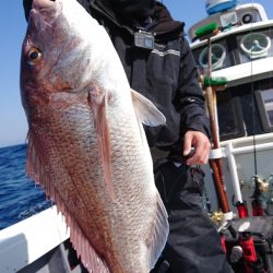 だて丸 釣果