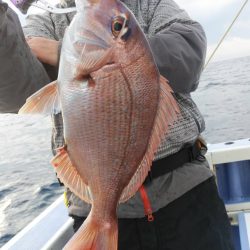 新幸丸 釣果