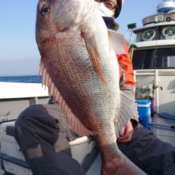 だて丸 釣果