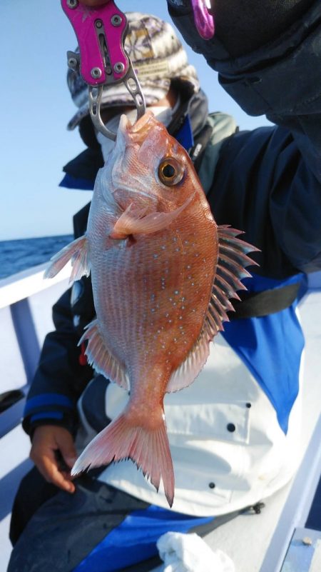新幸丸 釣果