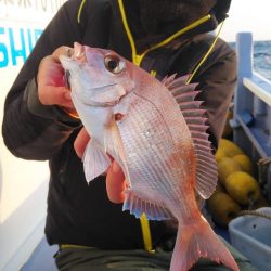 新幸丸 釣果