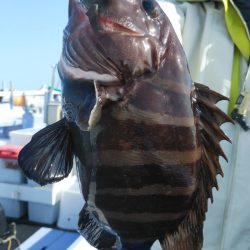 新幸丸 釣果
